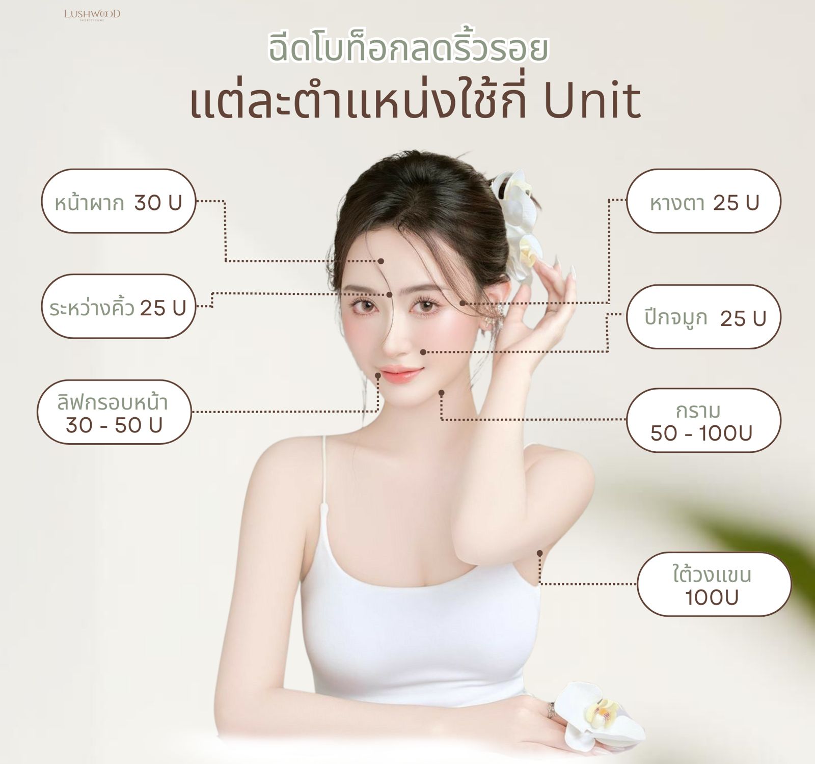 โบท็อกซ์ ดีไซน์ ออริจินัล