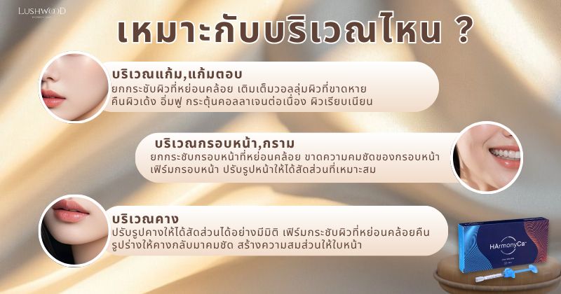 ฮาร์โมนีซีเอ