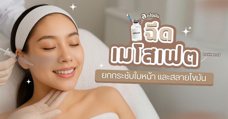 เมโสแฟต