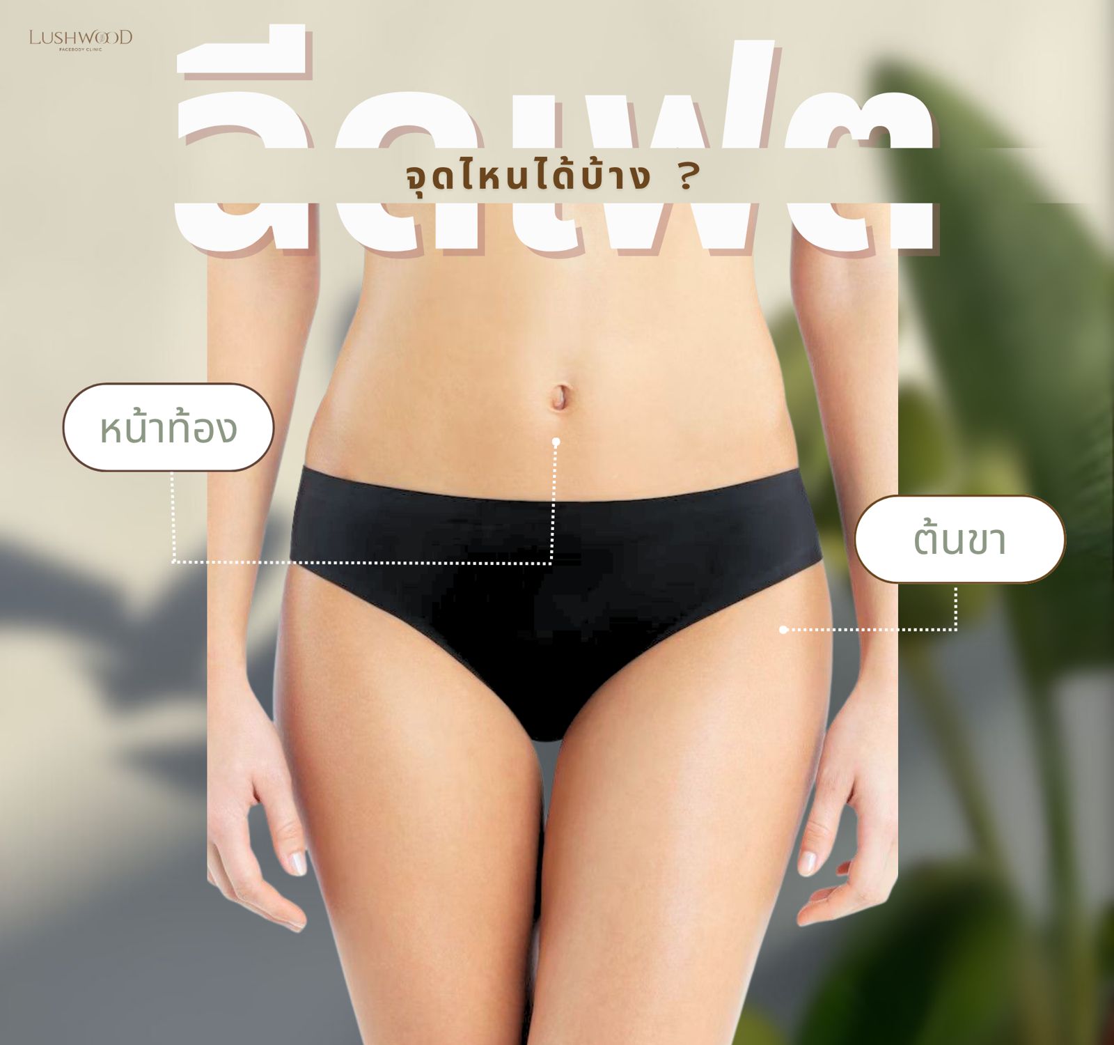 เมโสแฟต