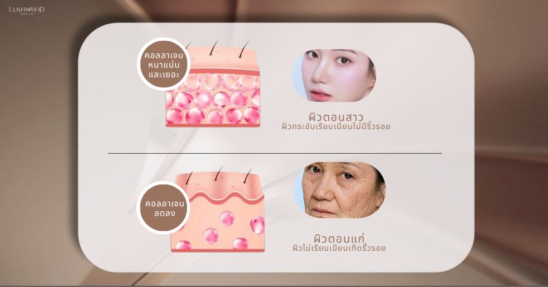 สคัลปตร้า