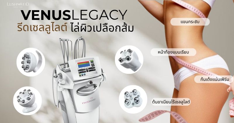 วีนัส เลกาซี่