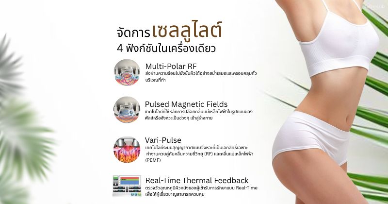 วีนัส เลกาซี่